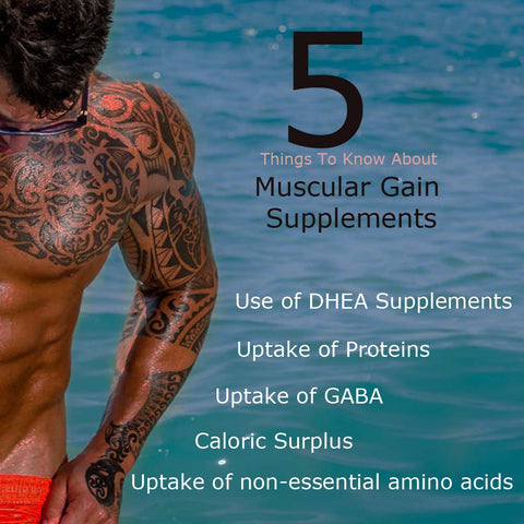 5 Things To Know About Muscular Gain Supplements
