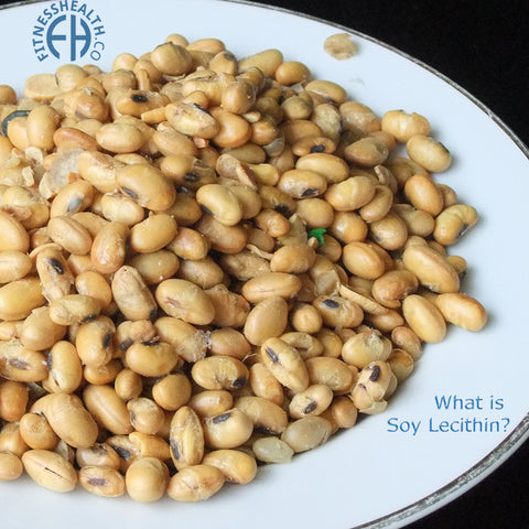 What is Soy Lecithin?