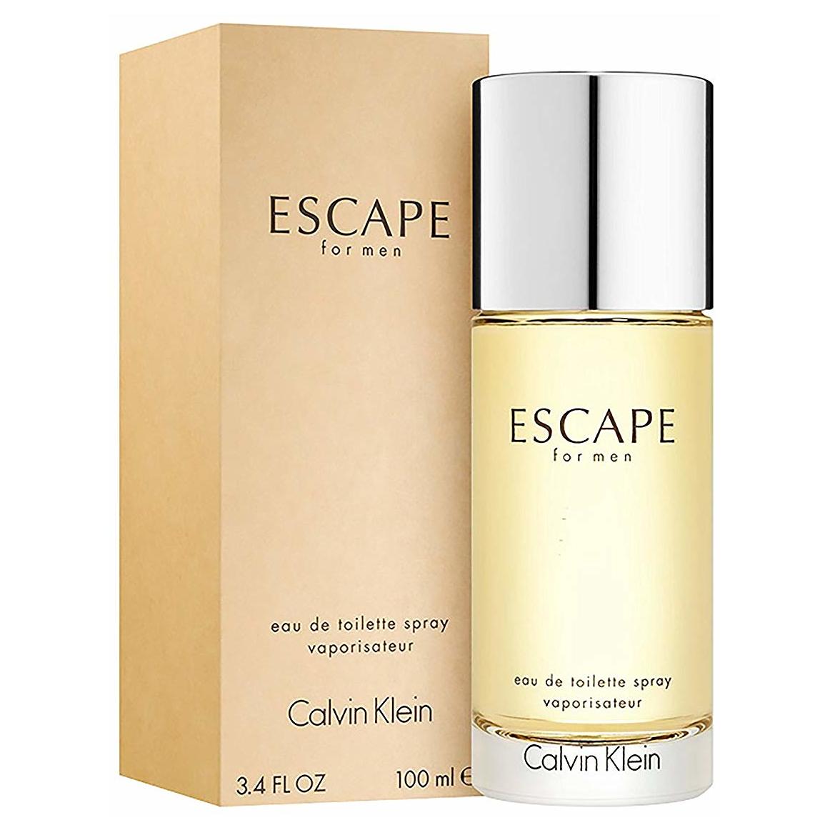 Mellow roddel Machtig Calvin Klein Escape EDT 100ml Perfume – Ritzy Store