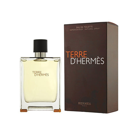Hermes Terre D'hermes EDT 100ml Perfume – Ritzy Store