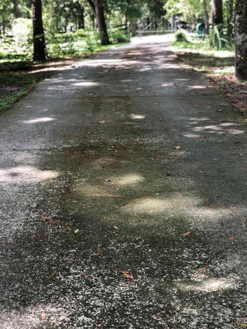 Dirty Concrete Driveway