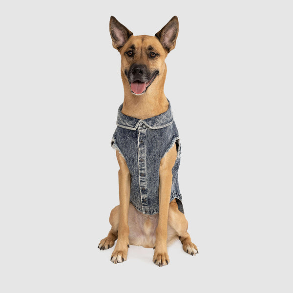 jean jacket for small dogs