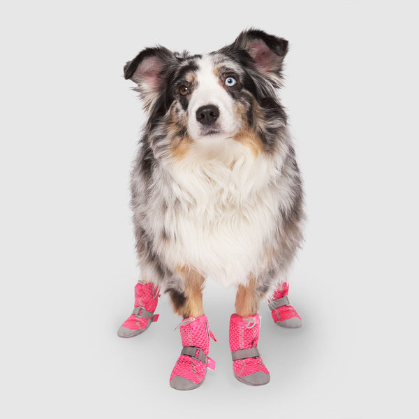 Summer Dog Boots for Hot Pavement | Canada Pooch
