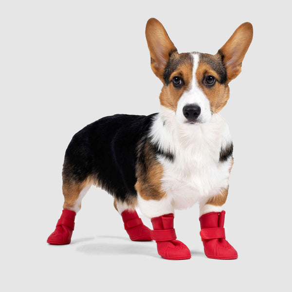 Lined Wellies Dog Winter Boots | Canada 
