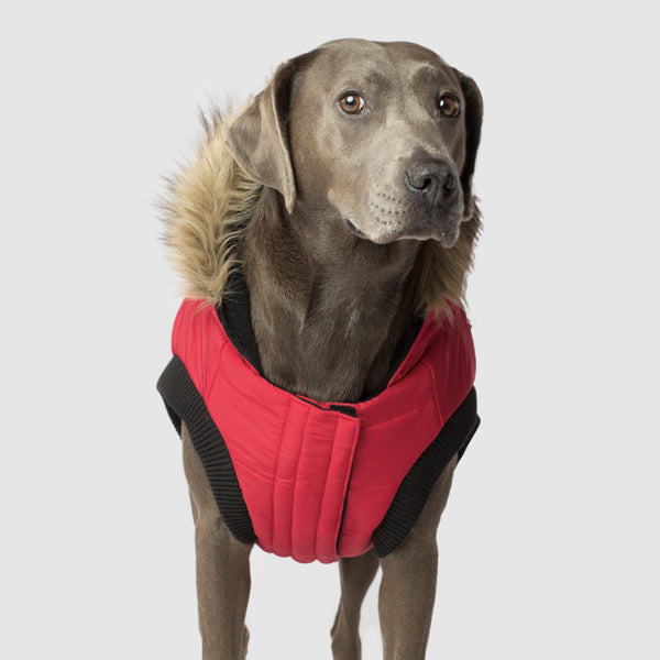 North Pole Dog Parka with Hood | Canada 