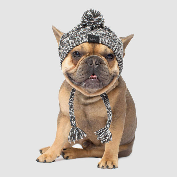 Polar Pom Pom Knit Dog Hat | Canada Pooch