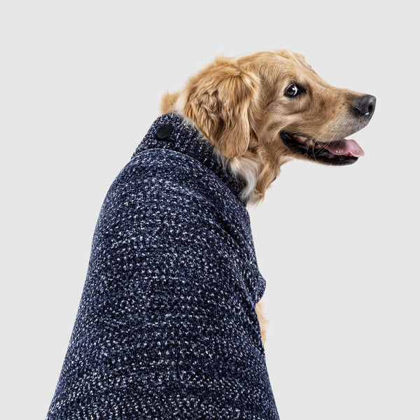 navy dog sweater