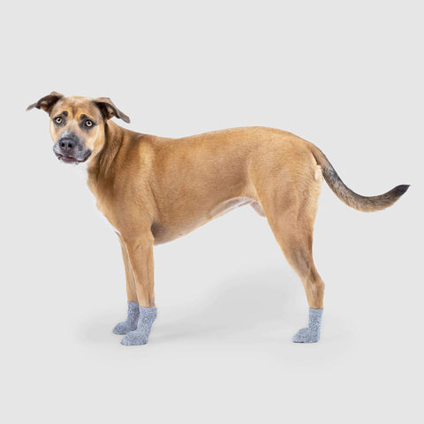 extra large dog socks