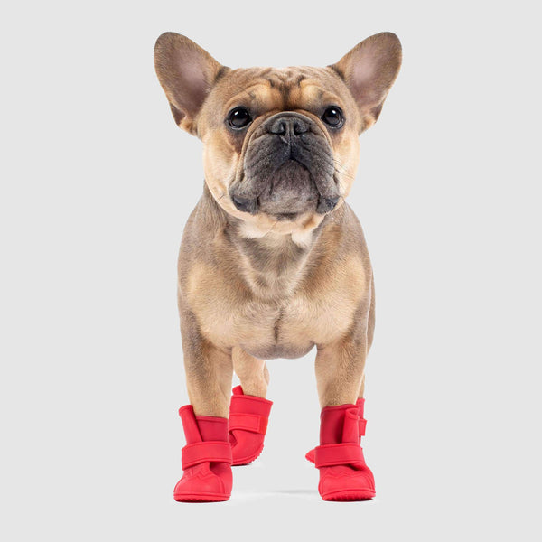 canada pooch wellies review