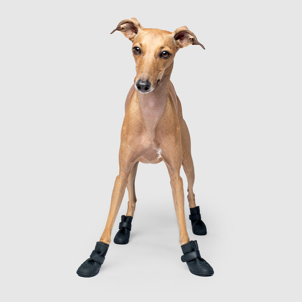 wellies fleece lined dog boots