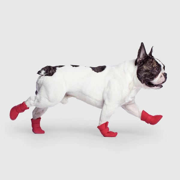 canada pooch wellies