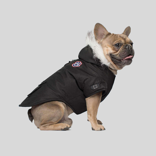 canada pooch north pole premium dog parka