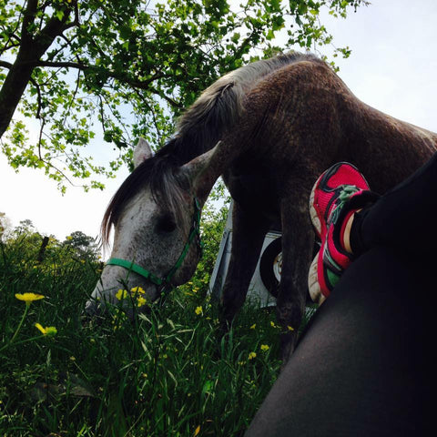 Devan Horn wearing ASIC Nimbus 19’s while resting next to a horse during an endurance ride.