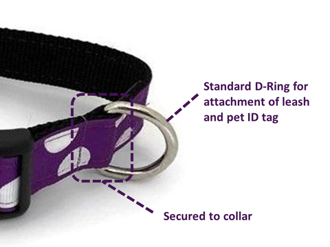D-Ring Illustration using Halzband Dog Collar