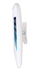 Picture Mount Pro iPad Kiosk