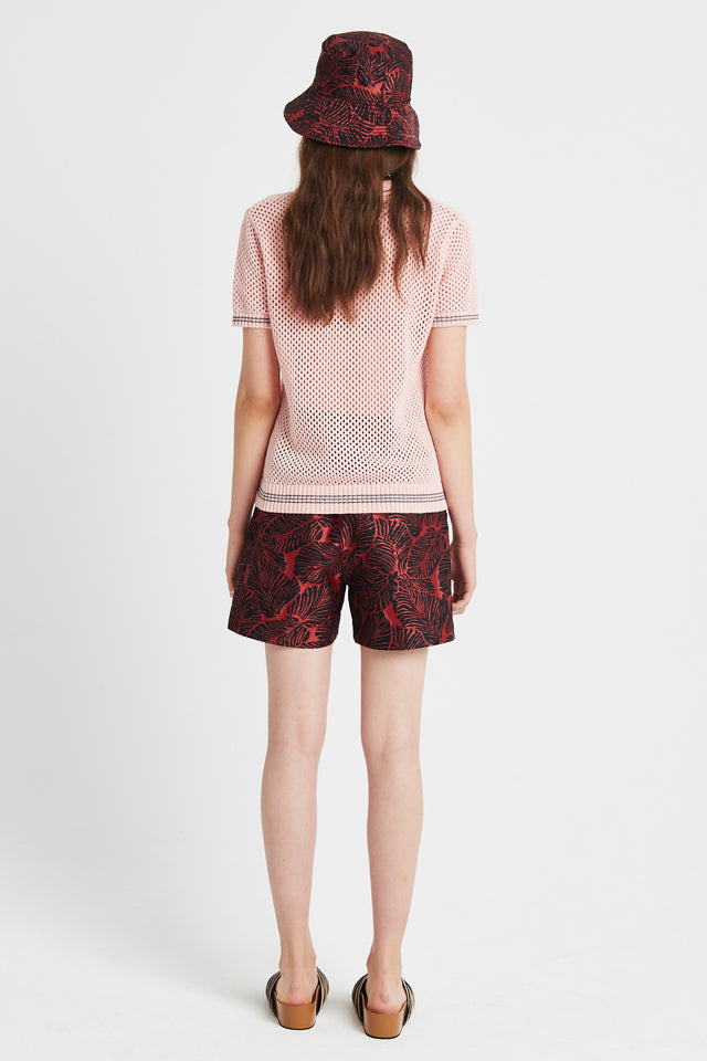 Palms short