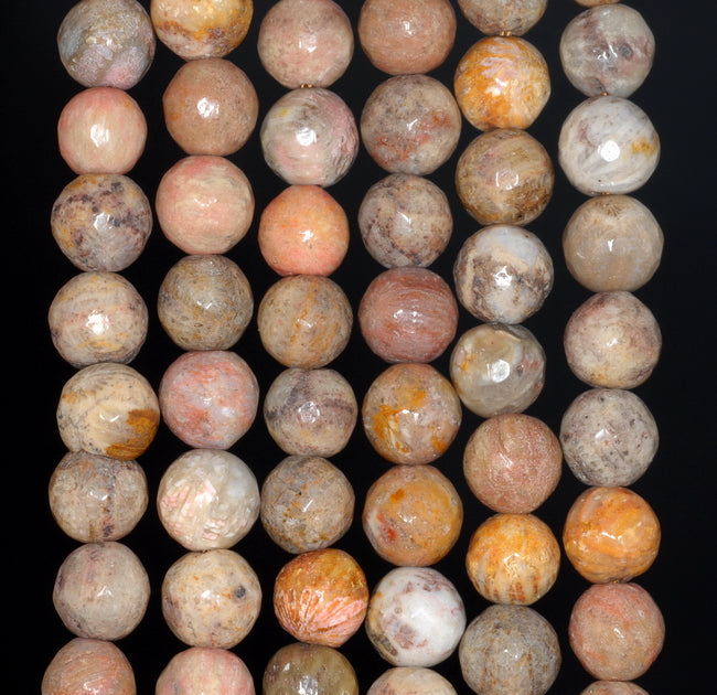 coral fossil beads