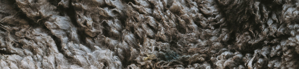 Cut Sheep Wool