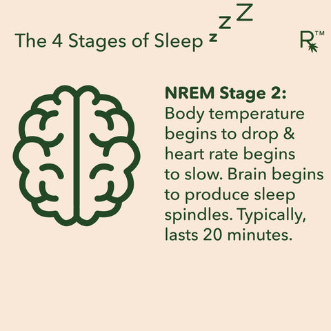 stages of sleep nrem stage 2