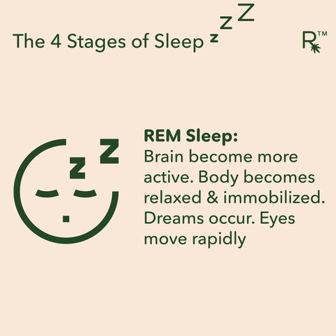 4 stages of sleep rem stage of sleep