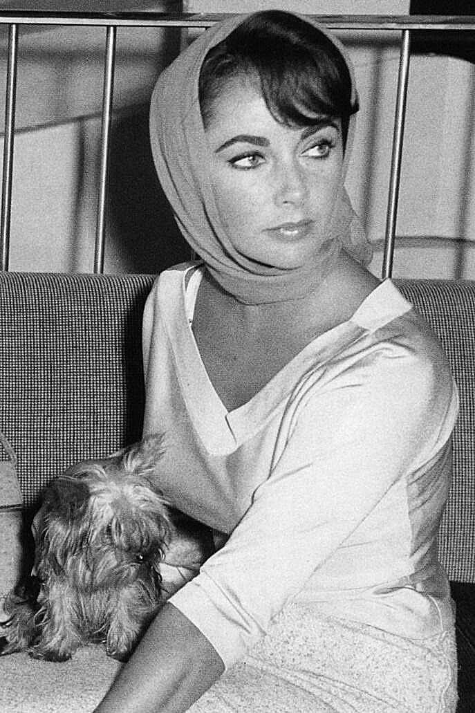 Elizabeth Taylor wearing a scarf around her head