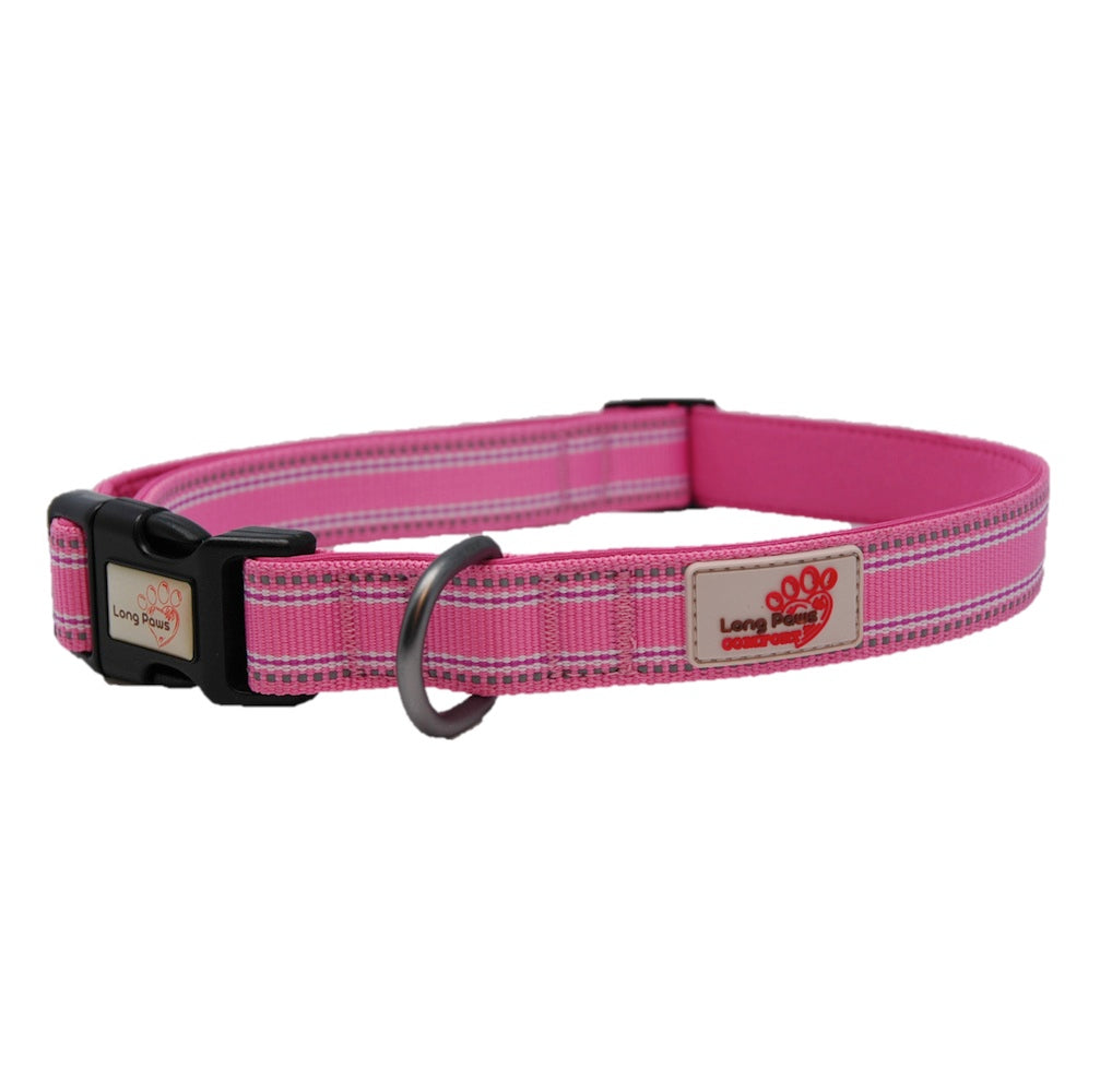 dog collar irritation