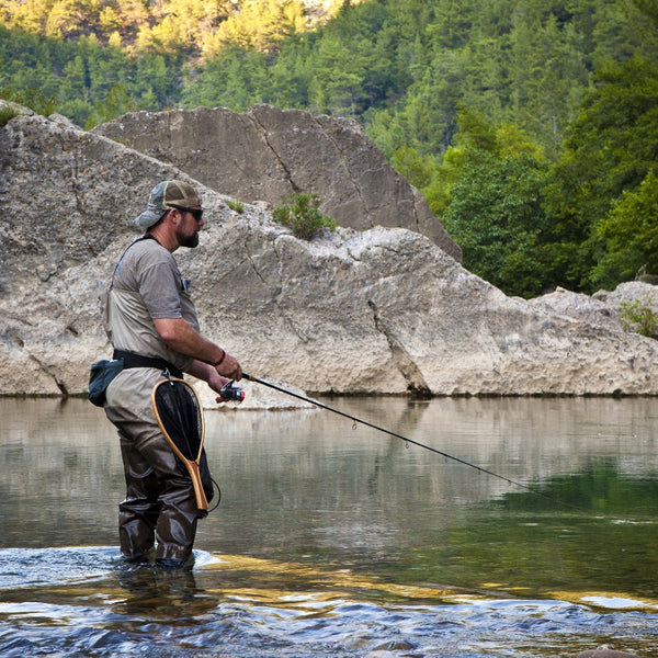 13 Most Popular Game Fish of North America for Anglers