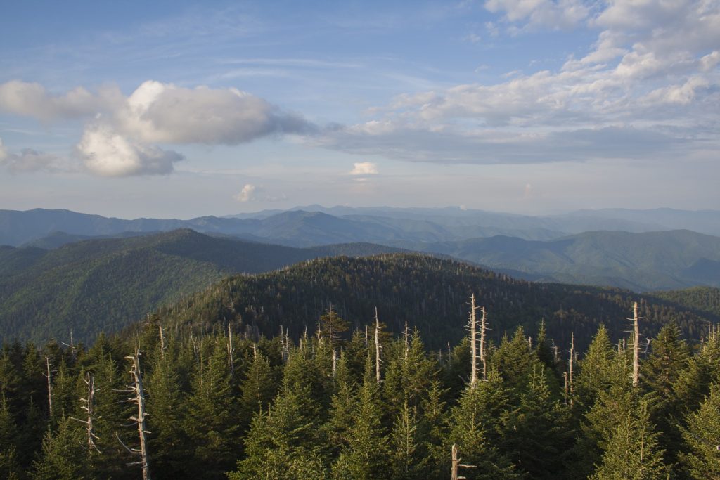 Clingmans Dome overlook peak in the Smoky Mountains.