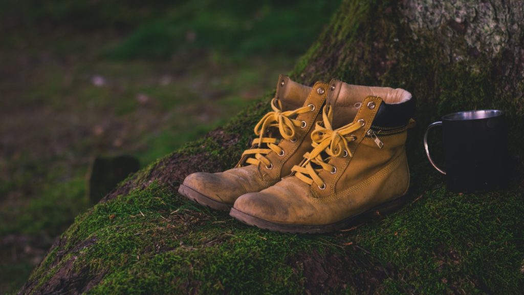 Pair of hiking boots