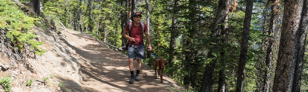 man hiking on trail with brown dog