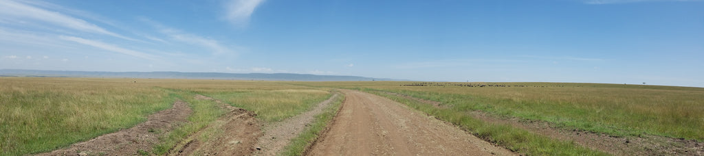 Masai Mara Triangle expanse