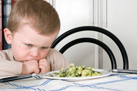 Toddler refusing to eat