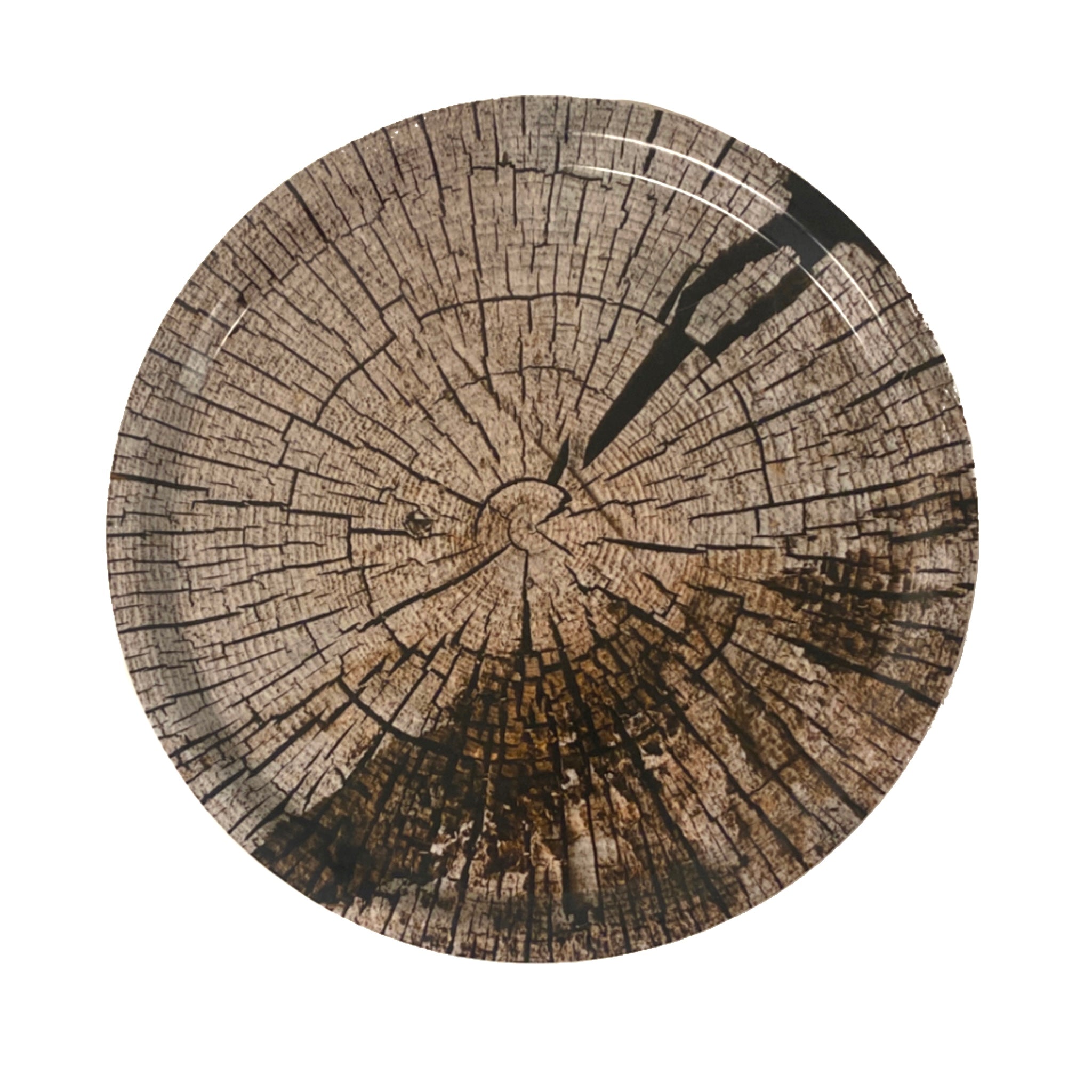 birch bark laminates