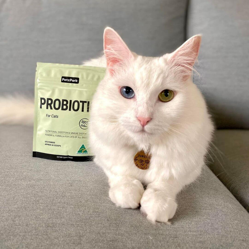 best prebiotic for cats