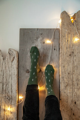 TreeSocks vor einer Holzwand mit Licherkette