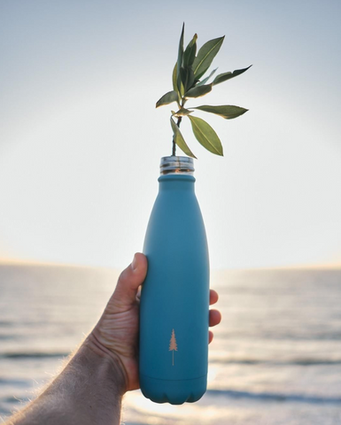 TreeBottle