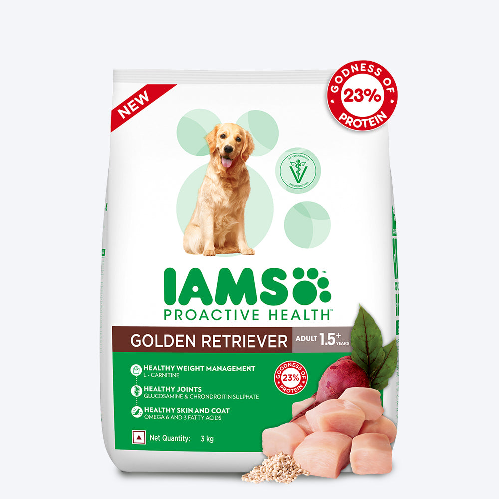 can dogs eat iams dry cat food