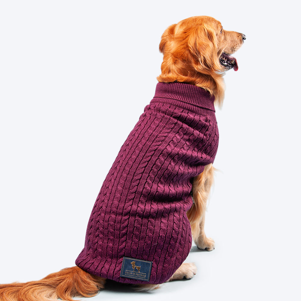 ae dog sweater