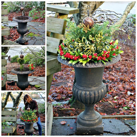 Getting Festive with your Garden
