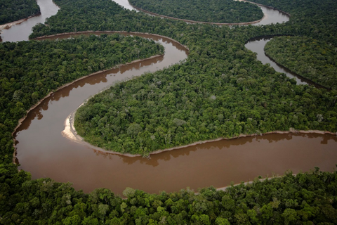 Figure 2. An expanse of uncut Amazonian rainforest in northeastern Peru.