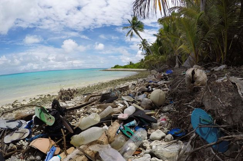 plage polluée