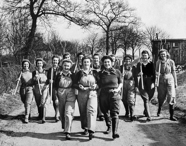 Womens Land Army Corduroy Breeches