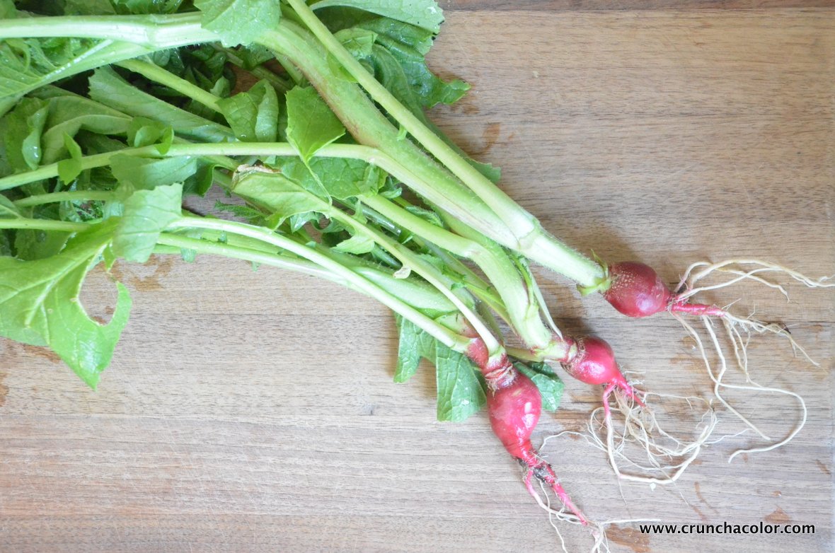 how to cook radish crunch a color