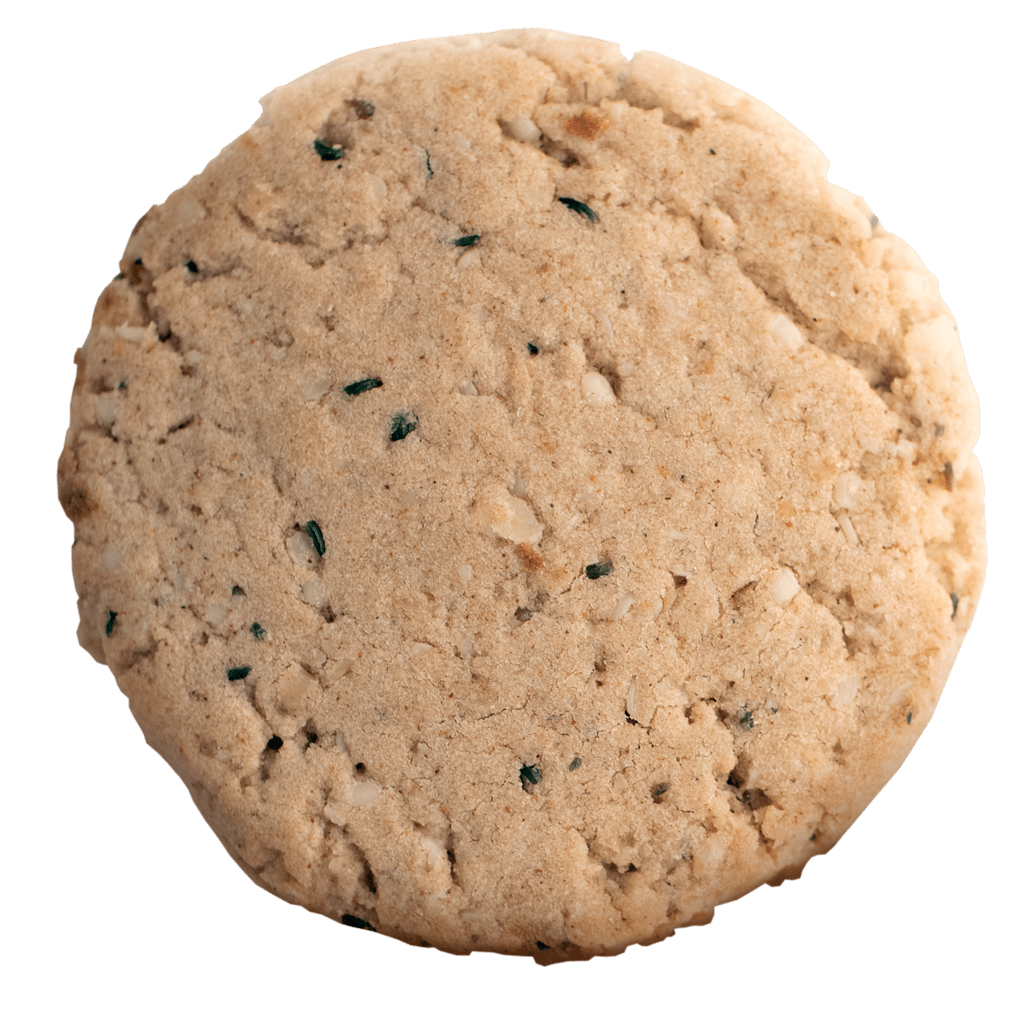 Oatmeal Cookie