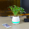 Flowerpot Induction Speaker - Homemark