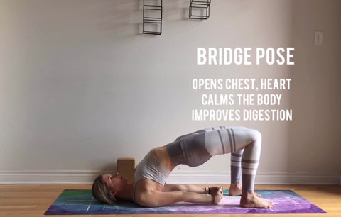 Bridge pose - Setu Bandhasana