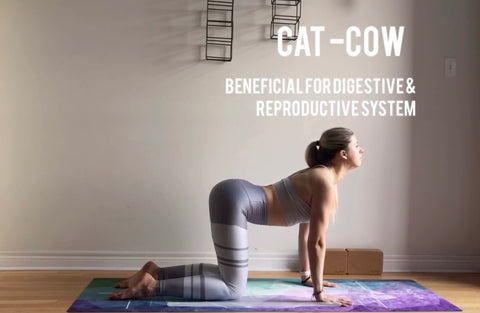 Cat cow pose - Marjaryasana 