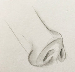 Loeil art blog sketching pencil artist nose drawing different angle front view side how to draw drawing pencil black