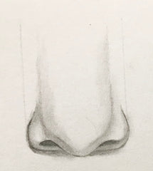 Loeil art blog sketching pencil artist nose drawing different angle front view side how to draw drawing pencil black