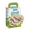 Grow your own mushroom kit